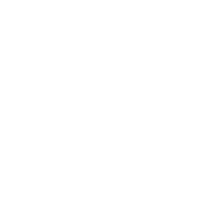 VIOLINO